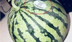 吃瓜网红停车场,吃瓜群众的新聚集地